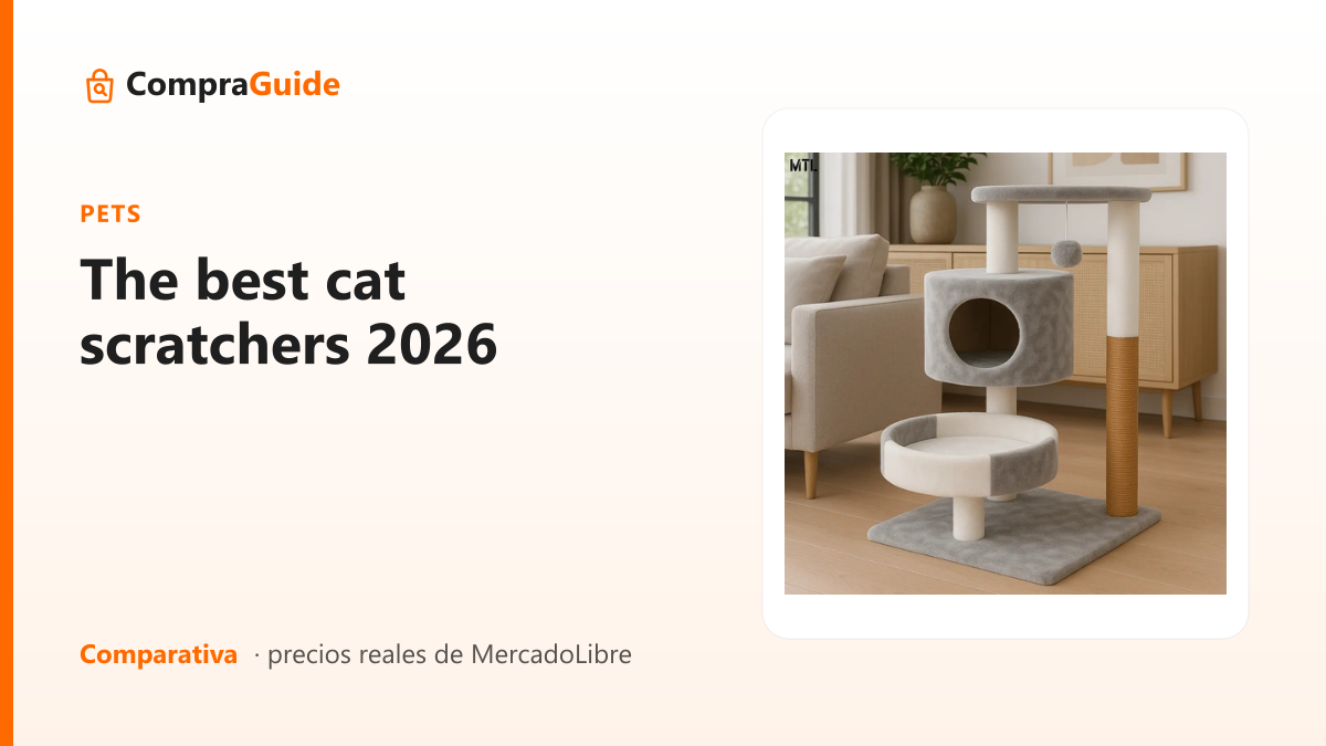 The best cat scratchers 2026